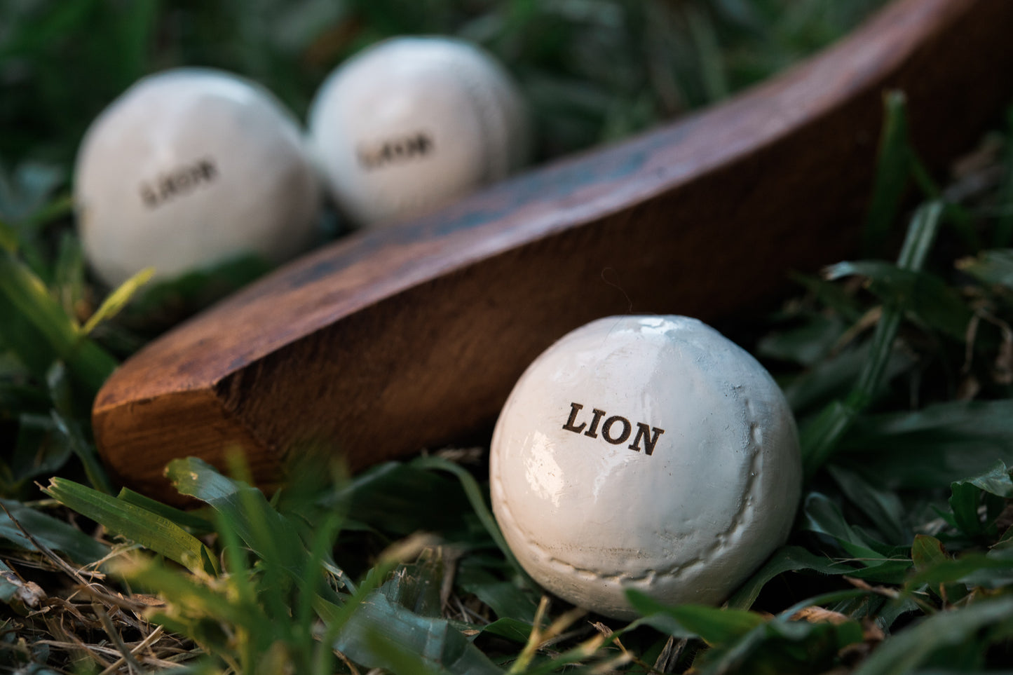 LION Authentic Feathery Golf Ball in a Red Gift Box